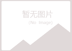 八公山区斑驳服务有限公司